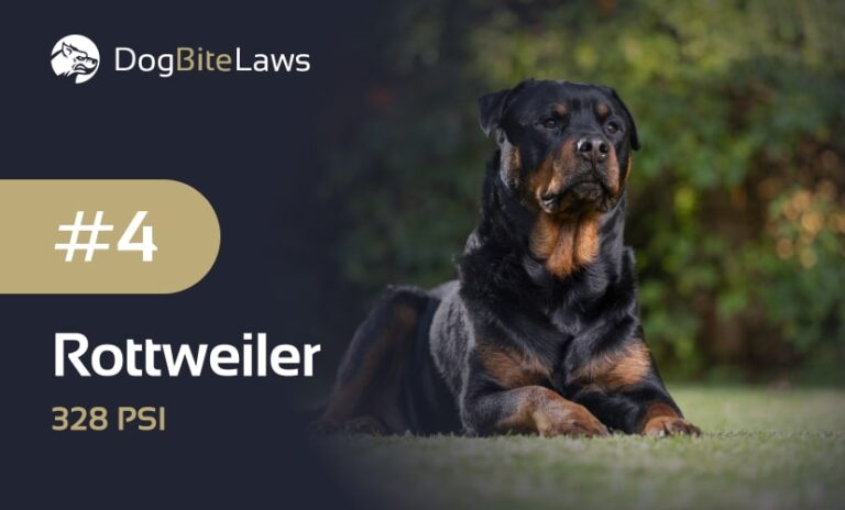 Rottweiler | Dog Bite Laws