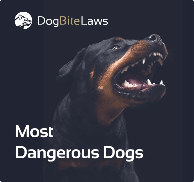 Most Dangerous Dogs Picture