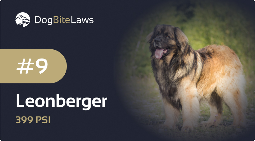 Leonberger