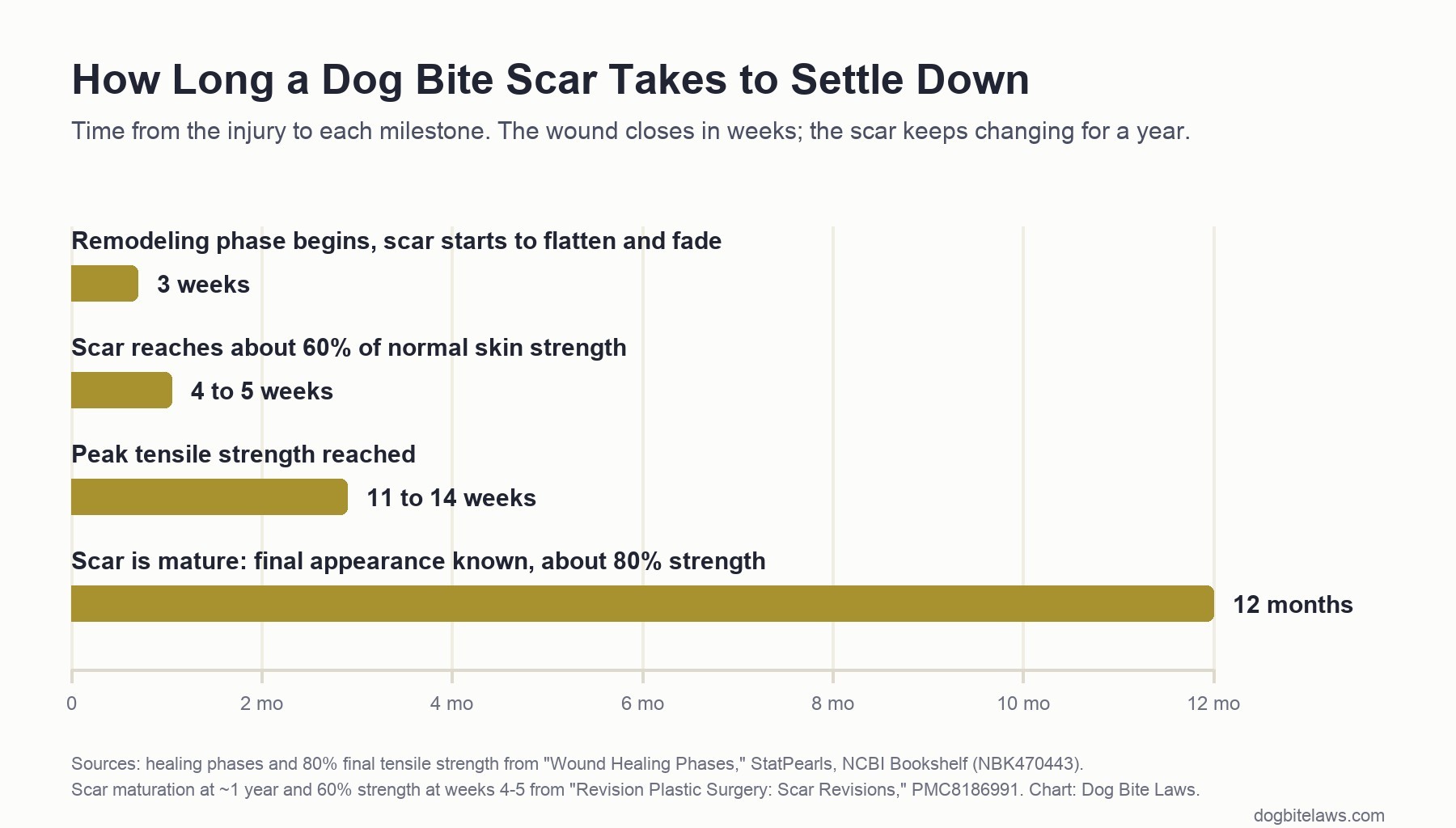 Bar chart showing time from a dog bite to each healing milestone: remodeling begins at 3 weeks, 60 percent of skin strength at 4 to 5 weeks, peak tensile strength at 11 to 14 weeks, and a mature scar at 12 months